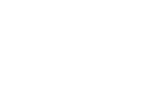 DIVINE ENCOUNTER